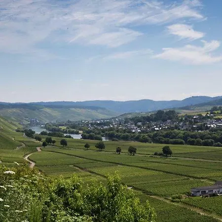 Kastanienhof Weingut Esseln Апартаменты *